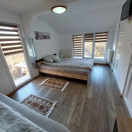 Cabana Casa Lu'Baciu Arpaşu de Sus Esterno foto