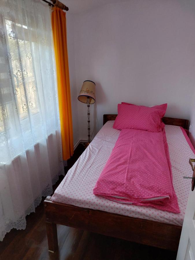 Cabana Casa Lu'Baciu Arpaşu de Sus Esterno foto