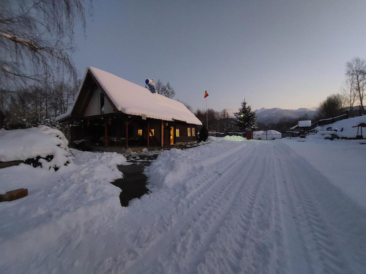 Cabana Casa Lu'Baciu Arpaşu de Sus Esterno foto