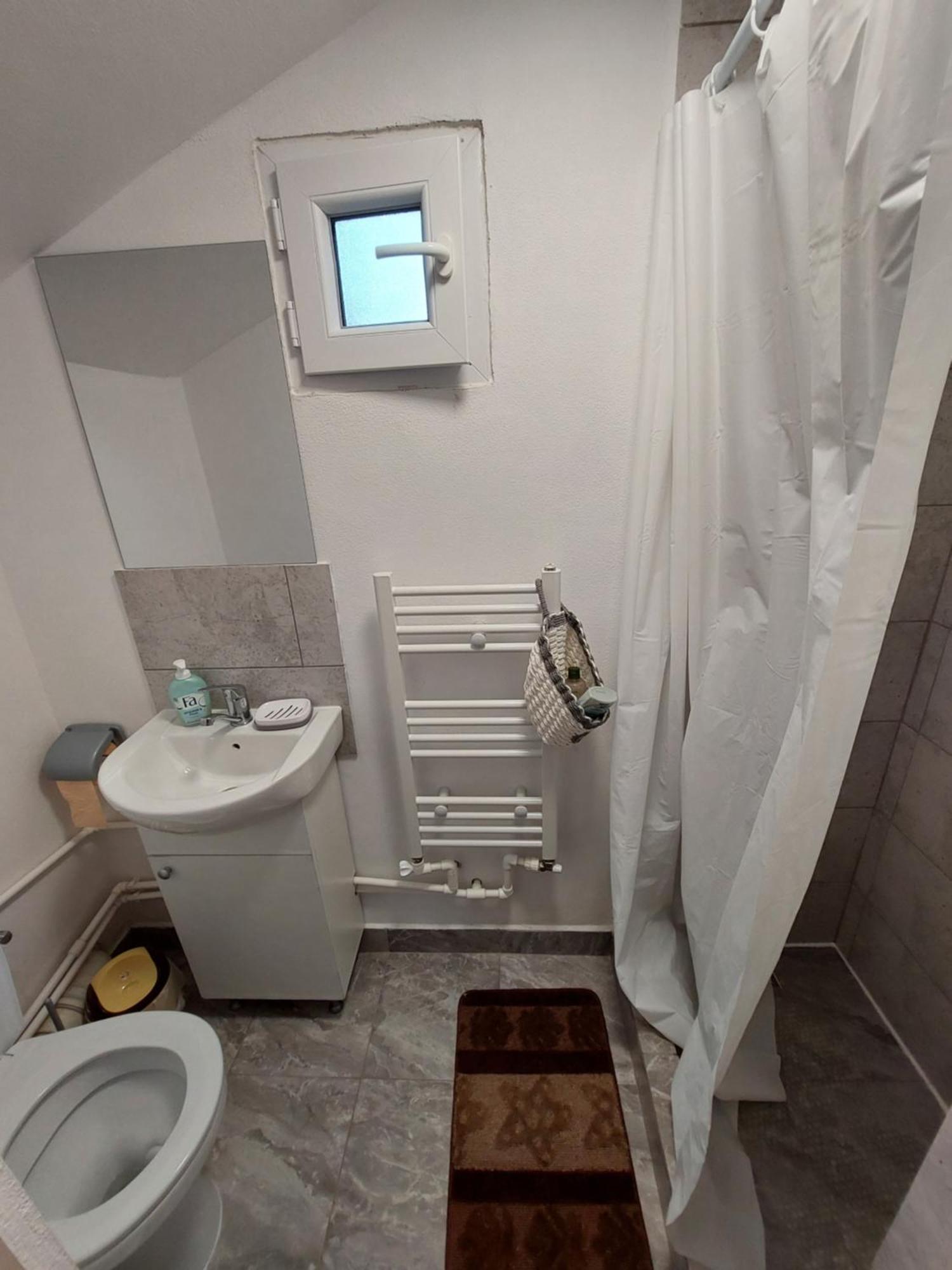 Cabana Casa Lu'Baciu Arpaşu de Sus Esterno foto
